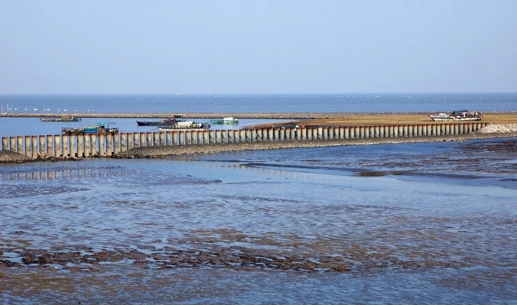 助力全國首個零碳島建設