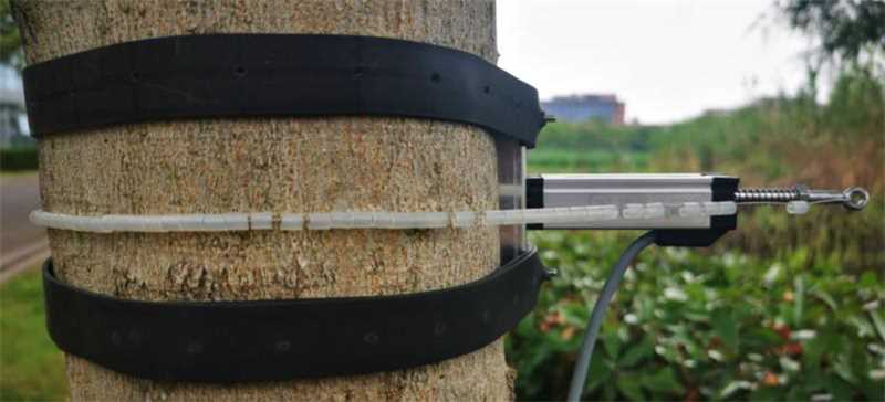 徑向樹(shù)干胸圍測(cè)量?jī)x RCD3